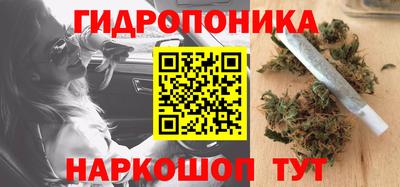 PSILOCYBIN Комсомольск-на-Амуре