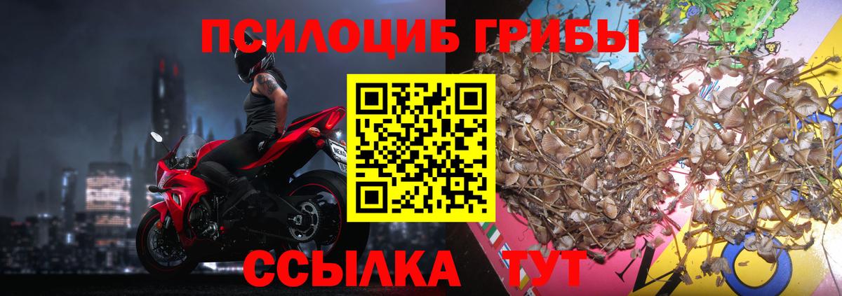 Псилоцибиновые грибы Cubensis  Галлюциногенные грибы Psilocybine cubensis  Карачаевск  как найти наркотики  Вход с VPN 